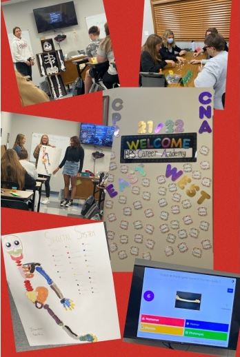 BPS Health Science Academy students skeletal system presentations