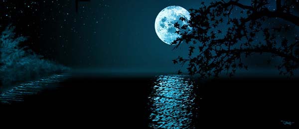 Embracing the Moon in the Sky or Fishing the Moon in the Water?