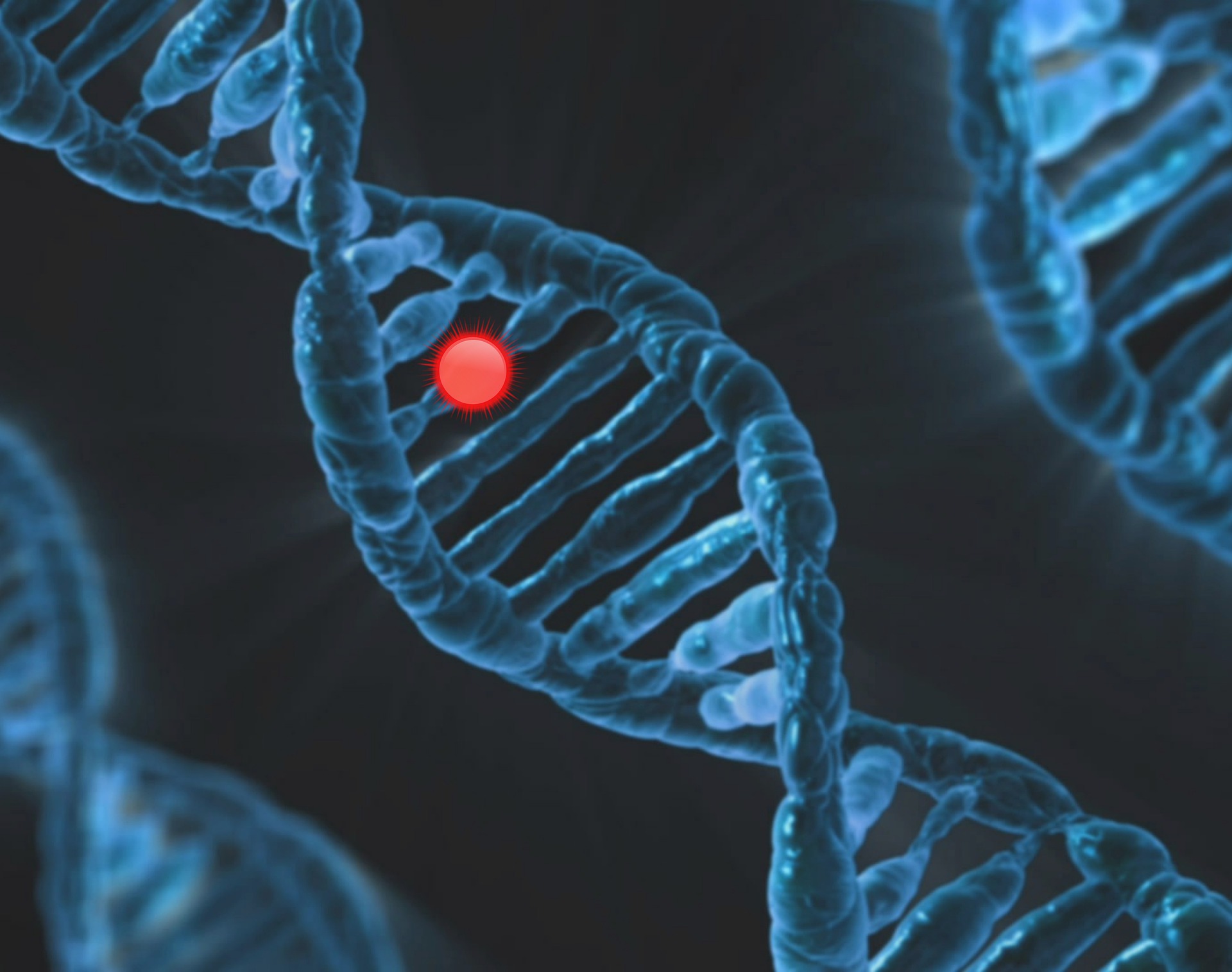Depiction of genetic material